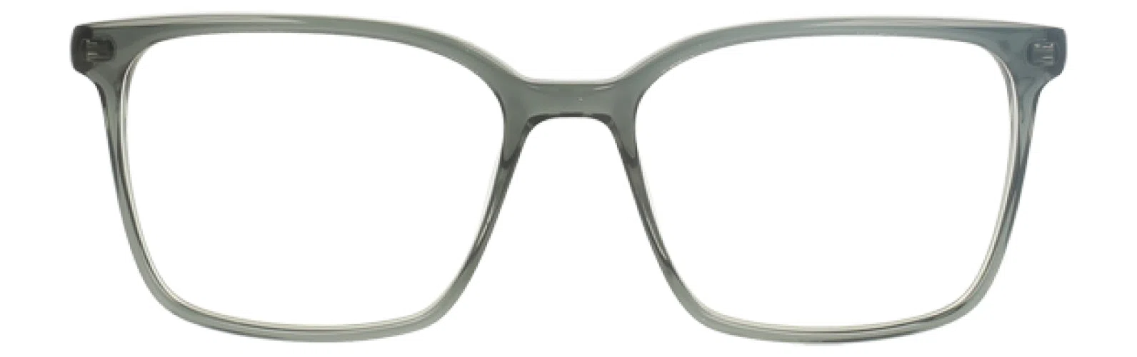 Life Is Good LGDARREN Eyeglasses - view 6